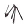 The tripod Falcon Eyes Multipod 1600hm