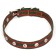 Collar of tarpaulin dimensionless single -layer, 52 x 2 cm, khaki/red