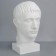 Gypsum figure Germanica head, 19 x 25 x 36 cm