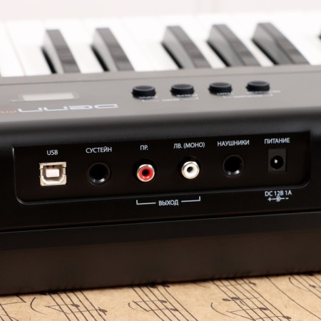 Electronic piano Denn Pro PW01, 8 timbres, polyphony 48 notes, 88 keys-5
