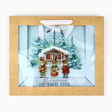 New Year's Craft gift package with a plastic window “Make a desire”, 31 x 26 x 11 cm, New Year-3