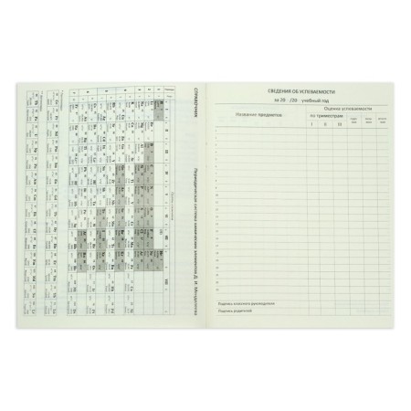 Universal diary for grade 1-11 Croco Feel Inspired, solid cover, artificial leather, foil embossing, liesse, 48 sheets-3