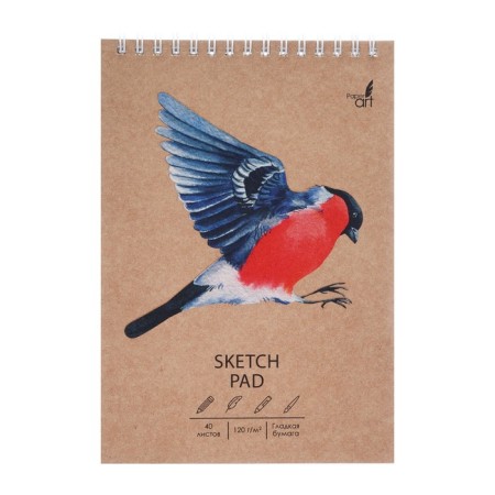 A5 sketchbook, 40 sheets, on the crest "Snegier", craft cardboard cover, selective varnish, hard substrate, block 120 g/m2