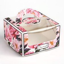 Box under the bento-port with the window 