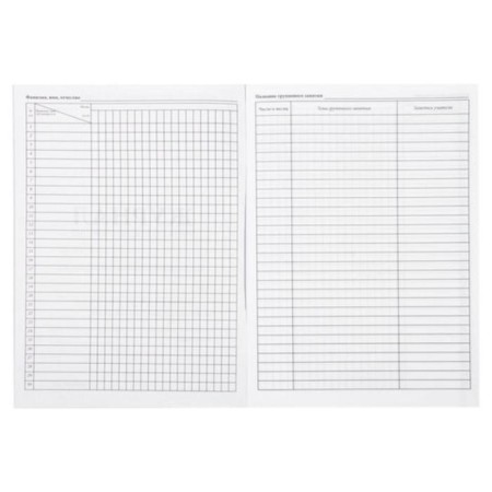 Group class accounting journal, 48 sheets, A4 200 x 290 mm, cardboard, offset, staff-4