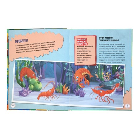 1000 Why and why. About the underwater world-3