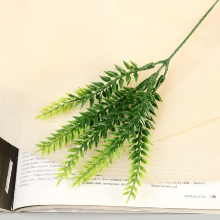 Bouquet "Fern Lush" 22 cm
