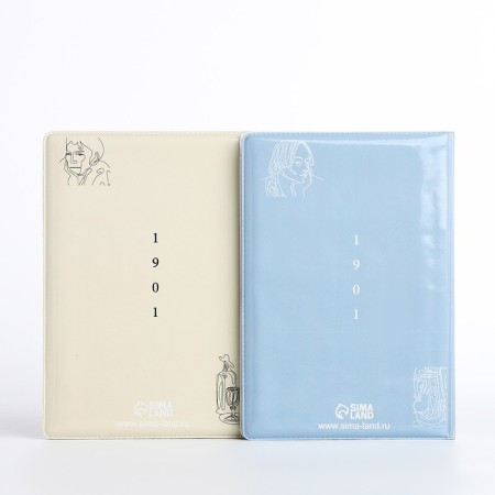Gift set: 2 covers for passport, beige/blue color-2