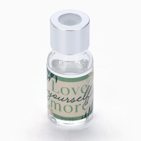 The diffuser aromatic “aroma for the home”, 10 ml., Mix.-12