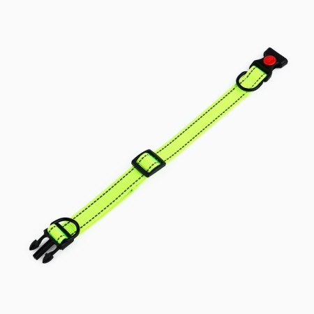 A collar with a nylon lining with a fastx 2.5 cm, cv green-4