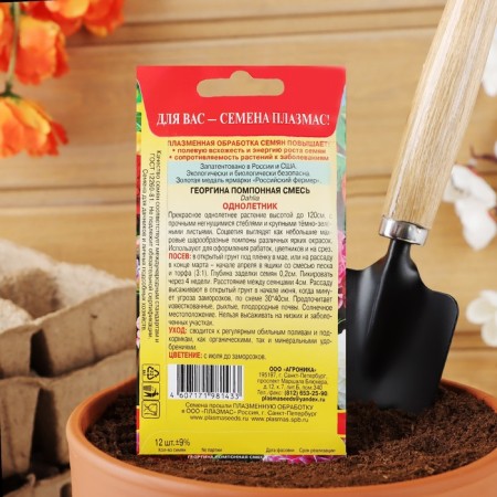 Georgina Seed Taush "Pomopone", mixture, 12 pcs-3