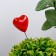 STETER "Heart" red, 3.5x3.5x2cm / set 10pcs