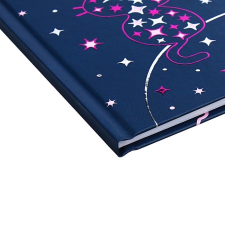 Universal diary for grades 1-11 Lunar cats, hard cover, matte lamination, 3D foil, 40 sheets-2
