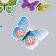 Butterflies cardboard "peas" set 12 pcs h = 4-10 cm on magnet