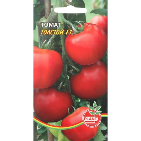 Seed Tomat "Tolstoy", 15 pcs