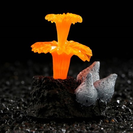 Decor for the Aquarium "Coral on the platform" Silicon, 6 x 4 x 7 cm, orange-2