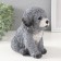 Figure "Puel Poodle" 14.5 x 10 x 14 cm.