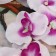 Artificial flowers "Orchid splendor" 60 cm, white