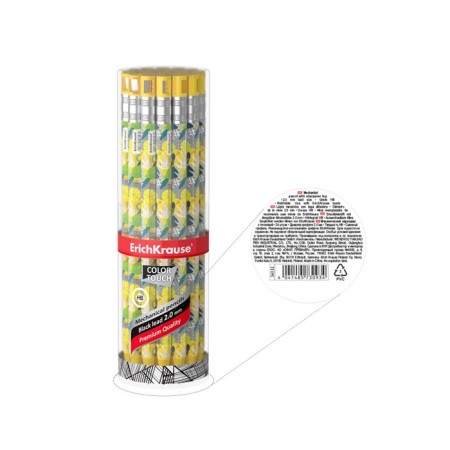 Mechanical pencil, 2.0 mm, Erichkrause Colortouch Lime, with a sharpener, a case with a design-2