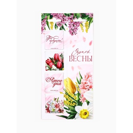 Magnetic bookmarks 4 pcs in the postcard "since March 8"-1