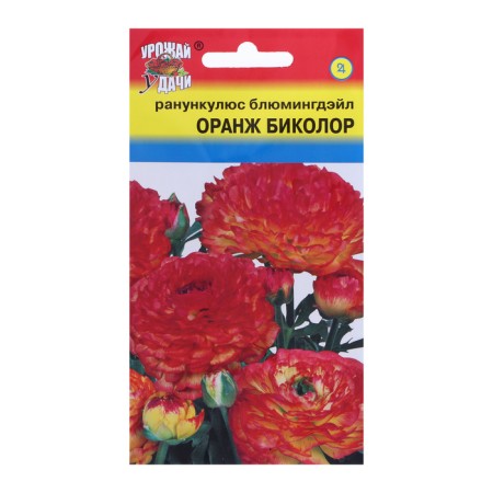 Flower seeds Ranunkulus "Orange Bikolor BlumingDale", 0.01 g