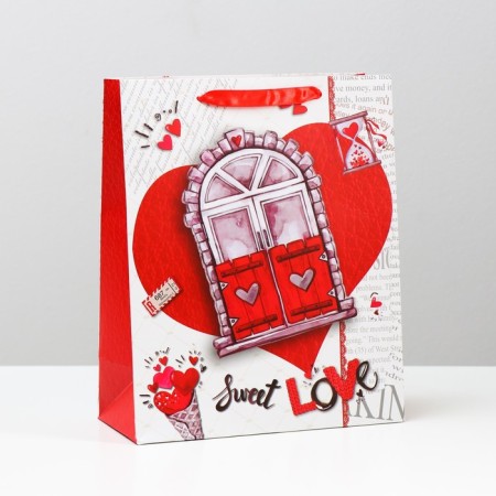 Gift laminated package, 26 x 32 x 12 cm