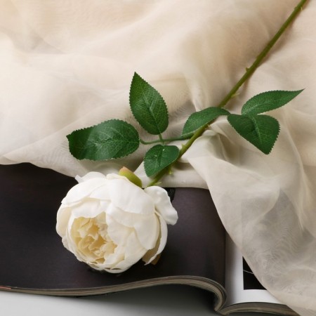 Artificial flowers "Rose aesthetics" 7x65 cm, white