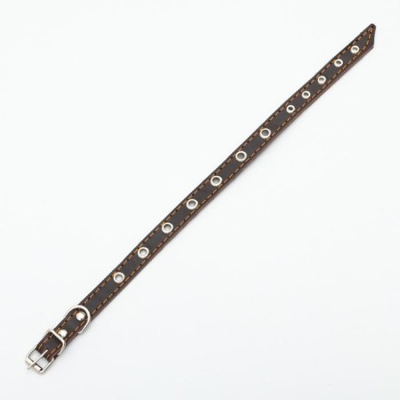 Single-layer leather collar with corrugated eyelets, dimensionless, 40 x 1.5 cm, Osh 27-35 cm, brown700-2