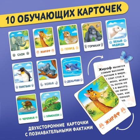 Training puzzle "Study animals", with stickers and cards-5