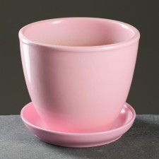 Flower pot 