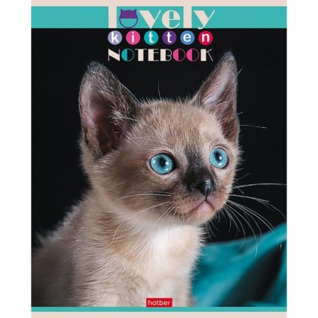 A notebook of 60 sheets in a cage, "everyone loves cats", covering a shared cardboard, an offset block 65g/m2, 5 species, mix-2