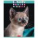 A notebook of 60 sheets in a cage, "everyone loves cats", covering a shared cardboard, an offset block 65g/m2, 5 species, mix