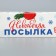 Folding box "New Year's package", 17 x 7 x 4 cm, new year