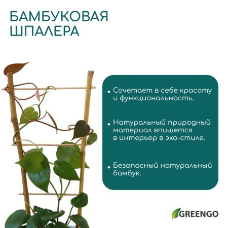 Shpalera, 85 × 31 × 1 cm, bamboo, "single", Greengo-2
