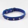 A collar with blurted spikes, 45 x 2 cm, mix of flowers