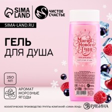 The shower gel “New Year's Magic”, 250 ml, the aroma of frosty berries, pure happiness