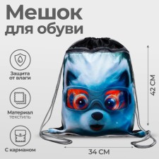 A bag for shoes with a pocket of 420 x 340 mm, calligrata MSO-7C, (soft polyester, density 210D), 