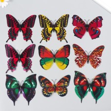 Magnet Plastic 