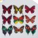 Magnet Plastic "Butterfly Double Wings" under textile shine mix 8.5x12 cm