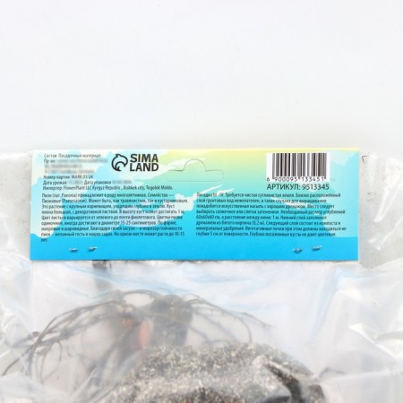 Pion "Madame Calot", rr 2/3, 1 pc,-3
