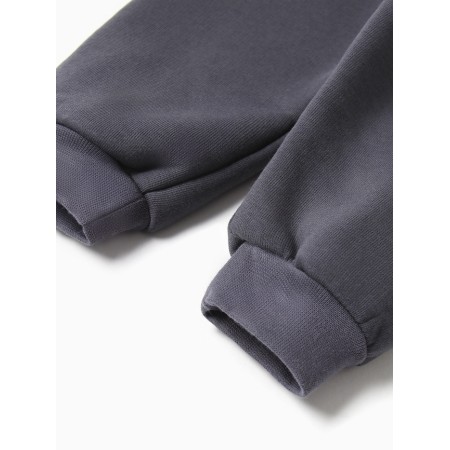 Costume: sweatshirt and pants crumb I Dino, height 80-86, dark gray-10