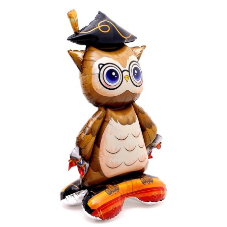 Foil ball 50 "Student owl", on a stand, under the air-1