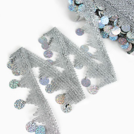 Braid with coins, holography, silver corners, in a roll 20 meters-1