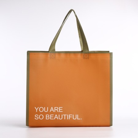 Bag without fasteners, brown color-1