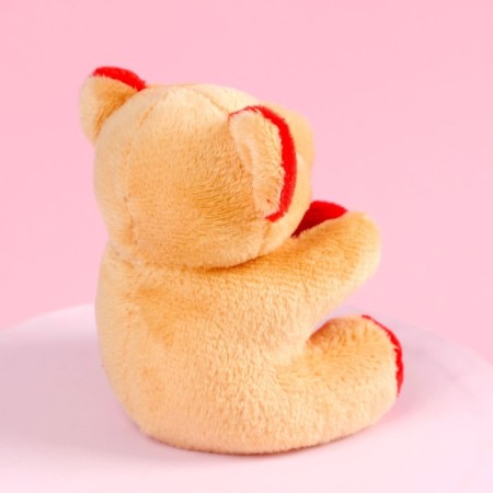 Soft toy "The most tender", Bear, Mix color-5