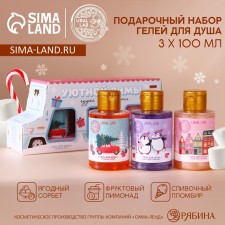 New Year's gift set of cosmetics 
