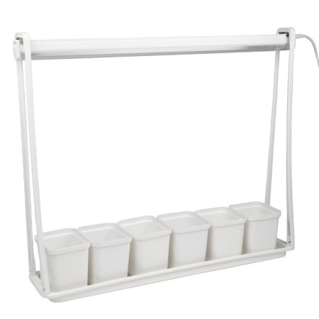 ULT-P56-10W/SPSB IP20 Marble Econom Set "Minisad", LED lamp lamp-1