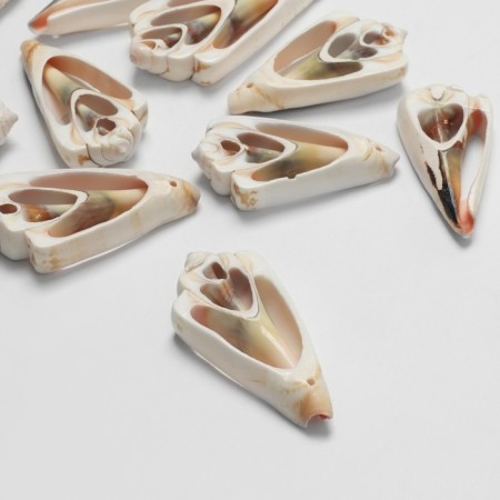 Beads "shell" 3x2.5 cm, triangle, set 100g, color light brown