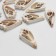 Beads "shell" 3x2.5 cm, triangle, set 100g, color light brown