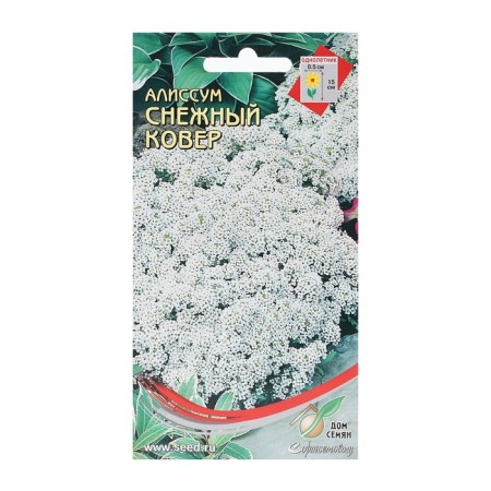 Alissum flowers "Snow Carpet", 180 pcs